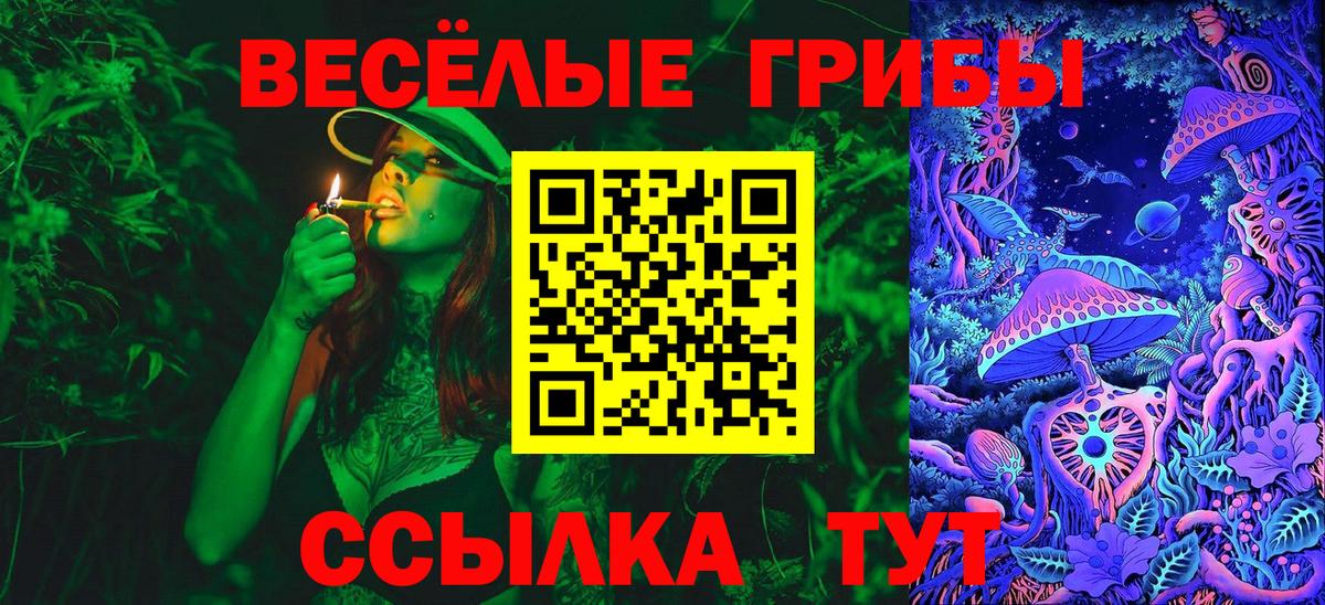 Псилоцибиновые грибы прущие грибы Нижний Тагил